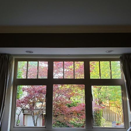Elegant, Sunny Modern Home With Skylights - Kitsilano, Vancouver Exteriör bild